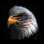 Profile Picture of Christopher Friedman (@freedo40) on Instagram