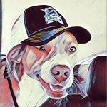 Profile Picture of Peter perrotta (@lilpete0620) on Instagram