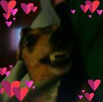 Profile Picture of Laranda Williamson Trogdon (@laranda.trogdon) on Facebook