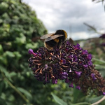 Profile Picture of Paul Hind (@andrew - hind) on Flickr