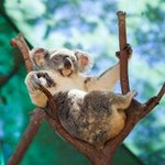 Profile Picture of Quentin Cooper (@qntncpr) on Instagram