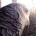 Profile Picture of Janet Bray (@ofmanycolors) on Pinterest