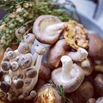 Profile Picture of sonja_boneschan (@sonja_boneschan) on Instagram