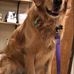 Profile Picture of Addie Quick (@Addie-Quick) on Facebook