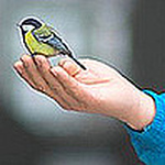 Profile Picture of Brian Chen (@Mother's B) on Flickr