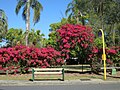 Profile Picture of Thomas Park Bougainvillea Gardenson Wikipedia