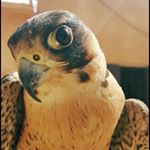 Profile Picture of med boutanguiza (@med_boutanguiza) on Instagram