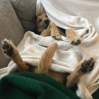 Profile Picture of Kevin Brightbill (@brightbill) on Twitter