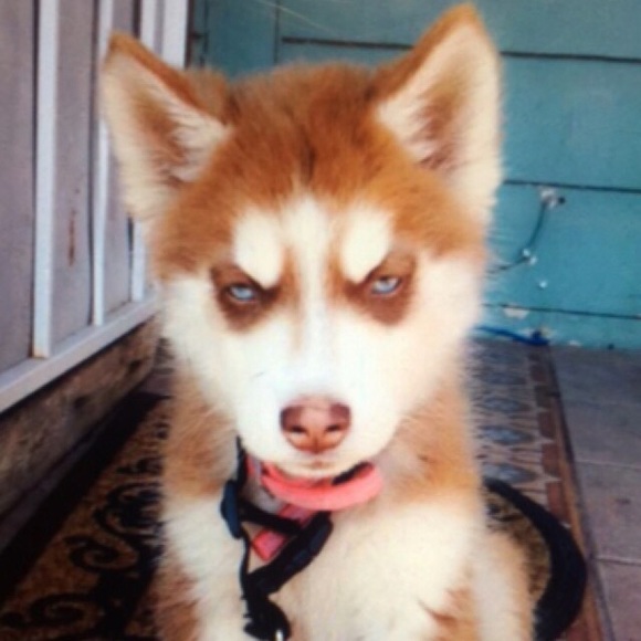 Profile Picture of Julio Cortez (@bibby713) on Poshmark