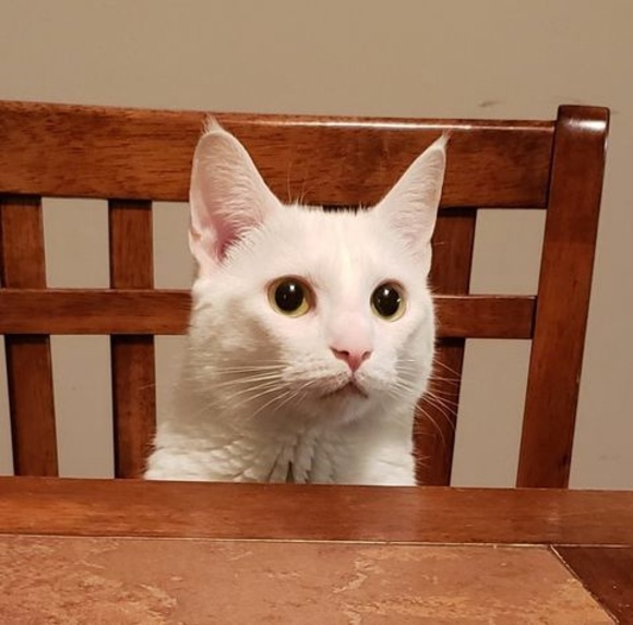 Hilary Dimattia - Poshmark Profile Picture of Hilary Dimattia (@hilyco) on Poshmark