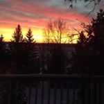 Profile Picture of Dawn Rutherford (@dawn_rutherford) on Instagram