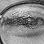 Profile Picture of Leftwichdoc1 (@leftwichdoc1) on Flickr