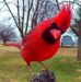 Profile Picture of Marilyn Crider (@marilyn.crider.148) on Facebook