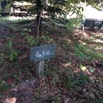 Profile Picture of Deb Handrich (@debhandrichspiritualdirector) on Instagram