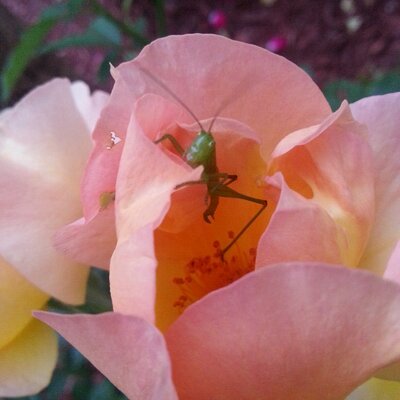 Profile Picture of Nathan T. McCallum (@NT_McCallum) on Twitter