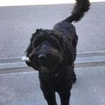 Profile Picture of Jeffery Landers (@jdlanders) on Instagram