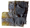 Profile Picture of Kombu - Wikipedia, the free encyclopediaon Wikipedia