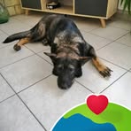 Profile Picture of Annie Debrand (@Annie-Debrand) on Facebook