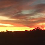 Brett Ritchie - Instagram Profile Picture of Brett Ritchie (@brettsworldtour) on Instagram