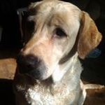 Profile Picture of Darrell Pool (@pooldarrell) on Instagram