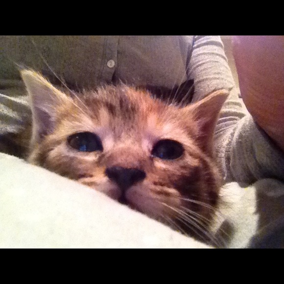 Profile Picture of Nancy Horihan (@dylansells) on Poshmark