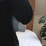 Profile Picture of MEGAN SCHMIDT HOLM (@megansholm) on Instagram