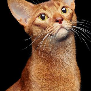 Profile Picture of Σοφια Διμοπουλου (@&) on Facebook