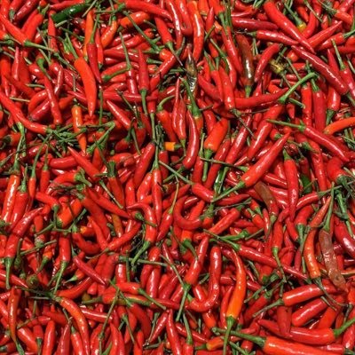 Profile Picture of James Peng (@jamespeng001) on Twitter