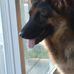 Profile Picture of Kyle Tremblay (@kyle.tremblay.948) on Facebook