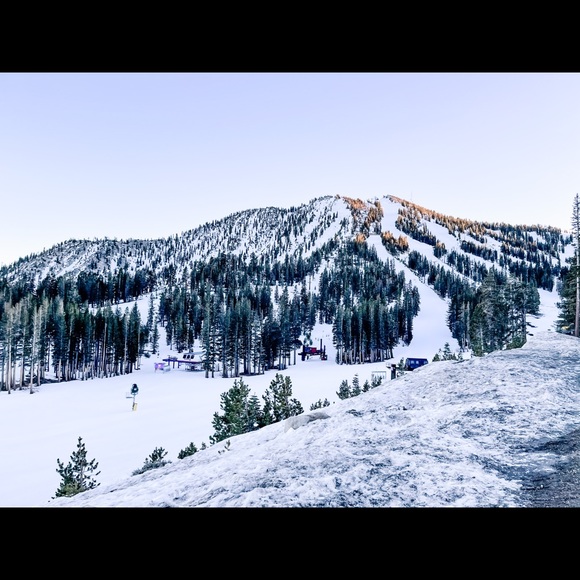 Profile Picture of Daniela Moral pereira (@dcmp262) on Poshmark