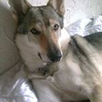 Profile Picture of Michaela Rabold (@micha4964) on Instagram