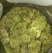 Profile Picture of Stoner Guy (@stoner.guy.77) on Facebook