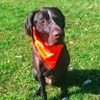 Profile Picture of Jason Goodsell (@jason-goodsell-3) on Quora