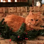 Profile Picture of Cindy Ebner (@cindy.ebner.10) on Facebook