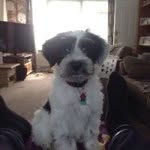 Profile Picture of Richard Mattison (@mattisonrichard) on Instagram