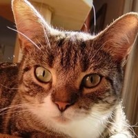 Profile Picture of Rebecca Mountain (@rebecca-mountain-2) on Quora