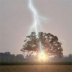 Profile Picture of Michael Martinka (@MartinkaMichael) on Twitter