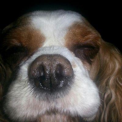 Profile Picture of Kay Potts (@jkp1148) on Twitter