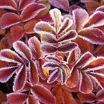 Profile Picture of Rachael Fulcher (@rachaelfulcher) on Instagram