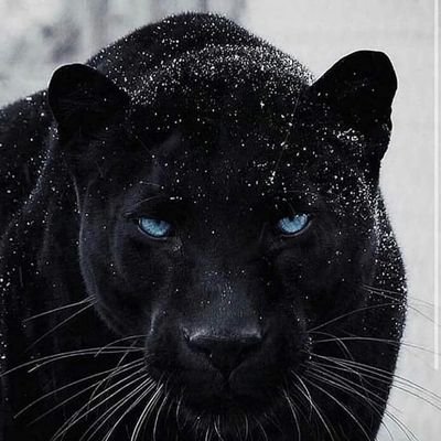 Profile Picture of The _UyOMa (@JosephIverson1) on Twitter