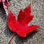 Profile Picture of John Clark Helzer (@johnclarkhelzer) on Instagram