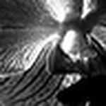 Profile Picture of Emily James (@emjphoto&design) on Flickr