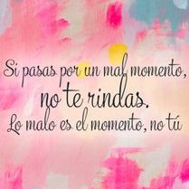 Profile Picture of David Canseco (@DavidCanseco2) on Twitter