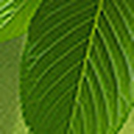 Profile Picture of Alejandro Ordoñez Salcedo (@alejandro448) on Flickr