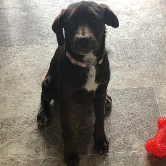 Profile Picture of Allison Wambold (@alw2891) on Poshmark