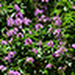 Profile Picture of Gaby Saker (@gabysaker) on Flickr