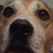 Profile Picture of Bella Schultz (@bellaschultz1222) on Youtube