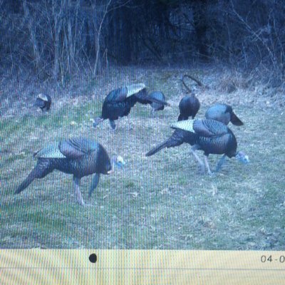 Profile Picture of Kyle Rhoads (@RhoadsKyle2) on Twitter