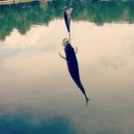 Profile Picture of Leonard Hall (@palodoman) on Instagram