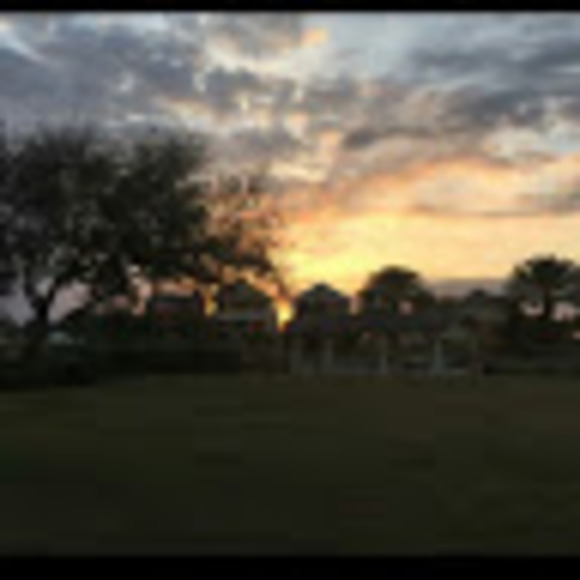 Profile Picture of Ari Lit (@arilit) on Poshmark